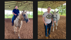 Thunder Hooves Equine Program