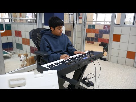 Yuvi Agarwal Wild Tunes founder