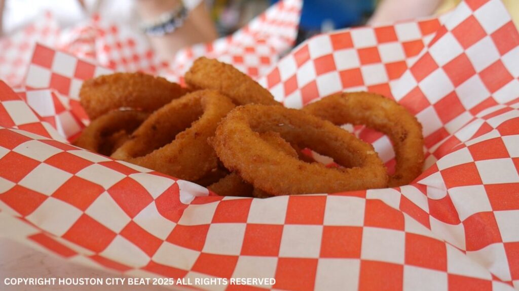 Burger Vibe Onion Rings