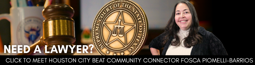 Houston estate planning attorney Fosca Piomelli-Barrios – Texas Law Solutions, PLLC