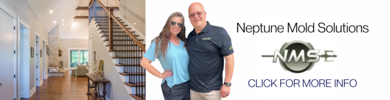 Neptune Mold Solutions
