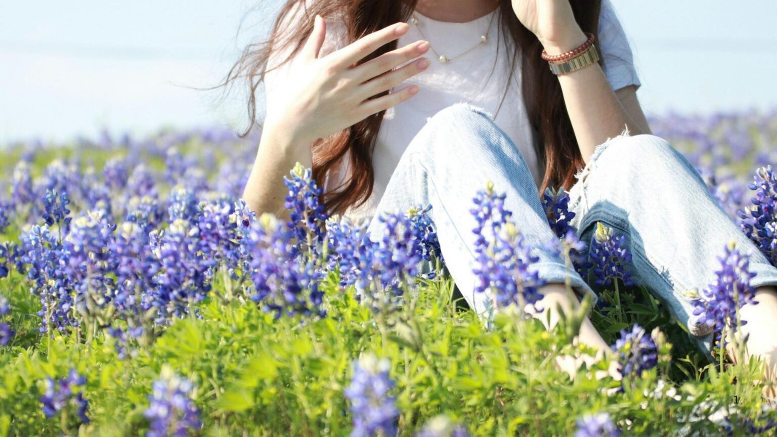Houston area bluebonnets status