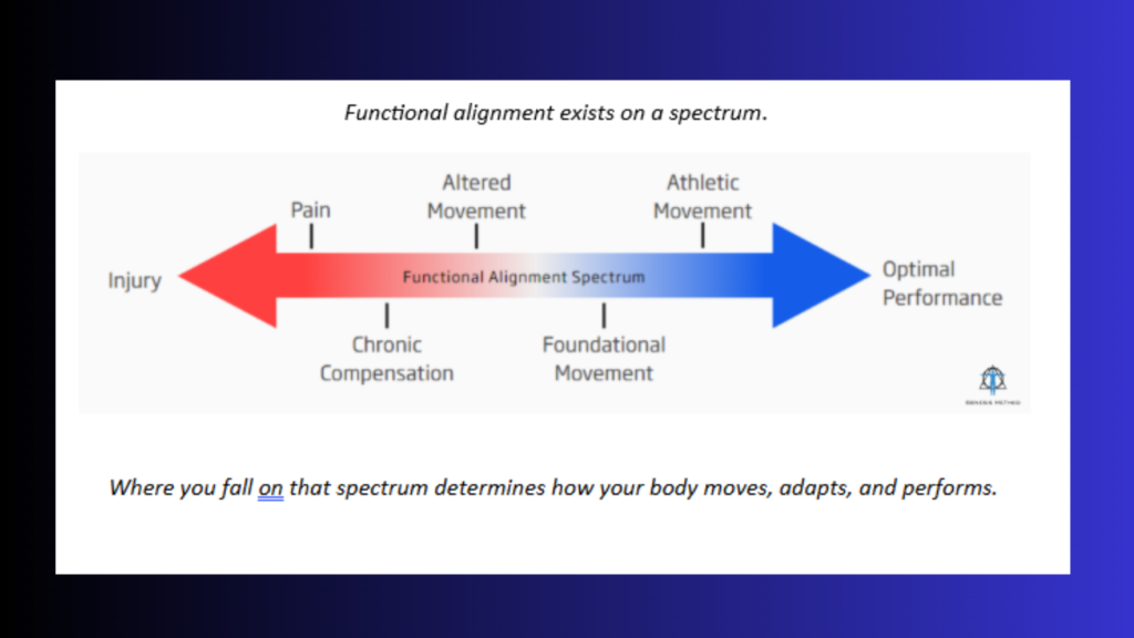 Functional alignment exists on a spectrum