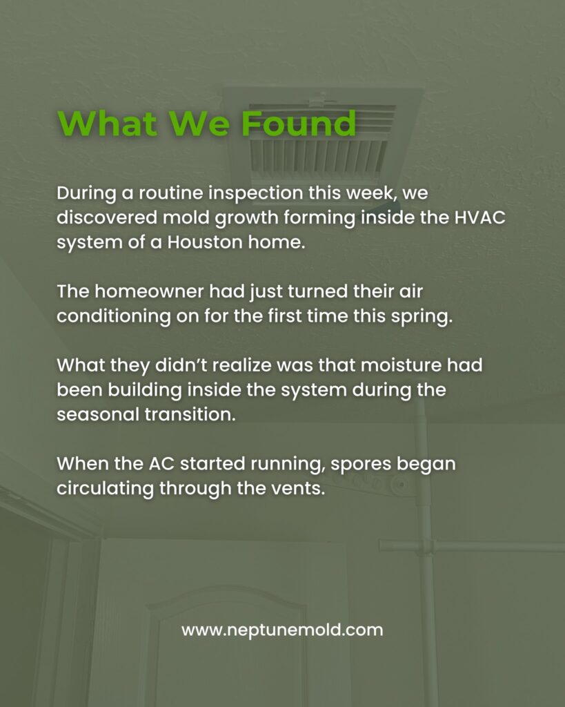 brought to you by Neptune Mold Solutions