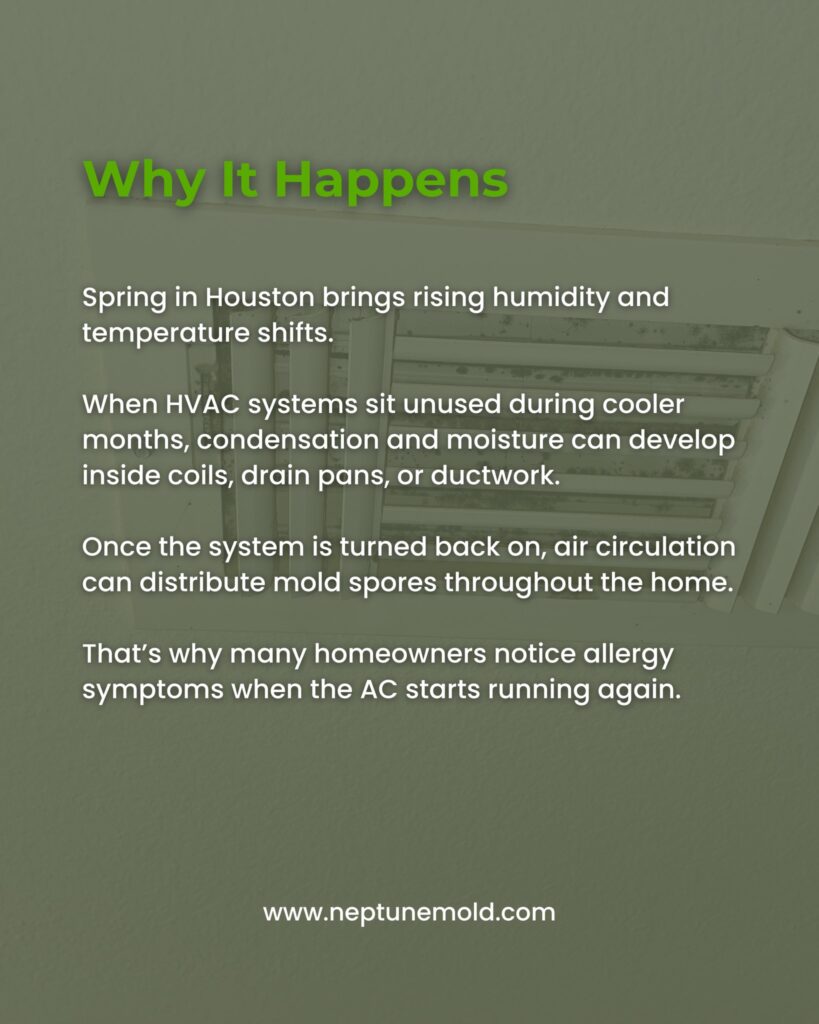 brought to you by Neptune Mold Solutions