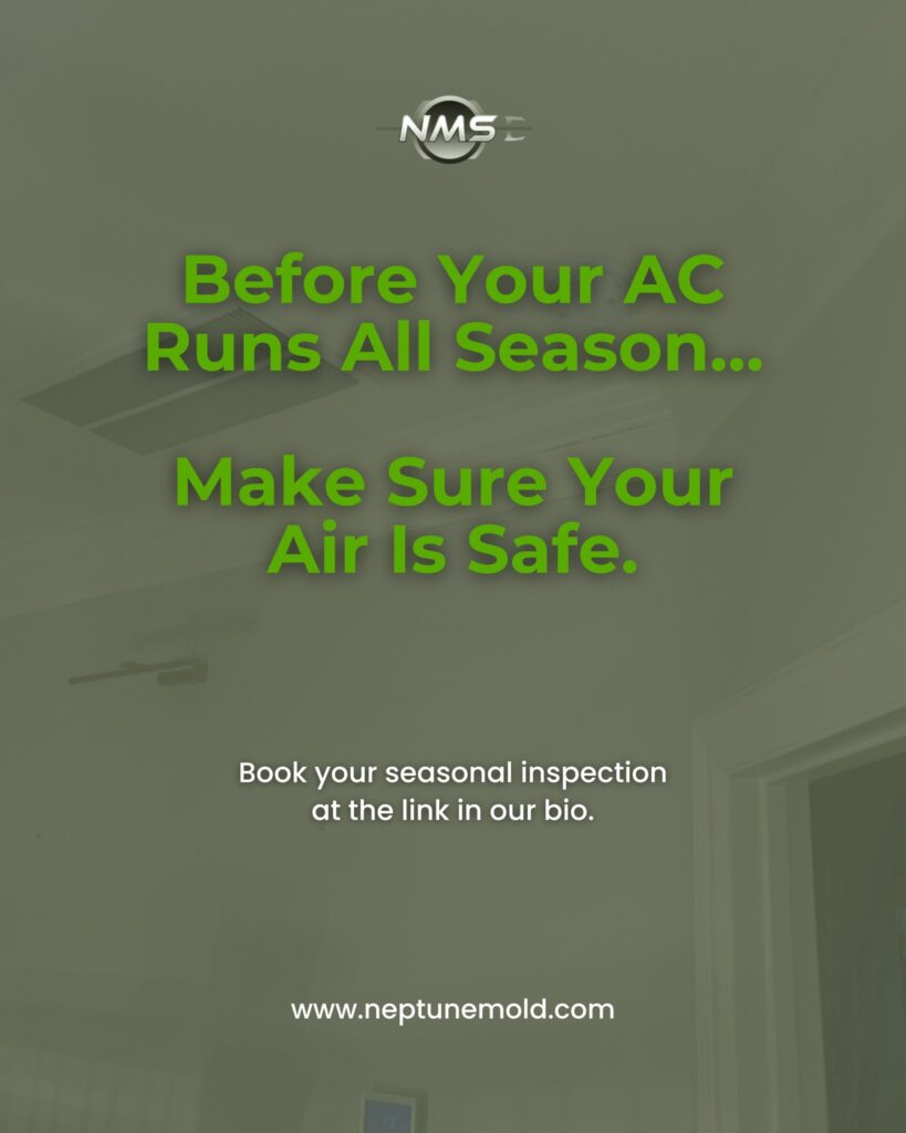 brought to you by Neptune Mold Solutions