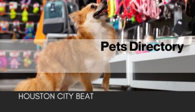 Houston Pet Directory | Local Vets, Groomers, Boarding & Pet Services